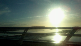 Symbolique du papillon (6) : Eveil