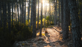 Episode 5 - La mission