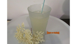 Boisson fermentée aux fleurs de sureau - Socata