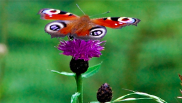 Après le confinement