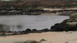 À l’extérieur, une façade joyeuse, couleur crevette  gris-rosée...