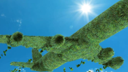 L’avion vert ou le défi impossible... ? Par Karl-Alexandre Pinot, Président de "L'Alliance"