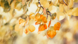 La PAL du mois de Septembre 2023