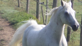 N'attends pas le dernier jour de ta vie ...