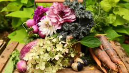 6. Manger Mieux, C'est Cher !