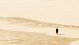 Traversée du désert