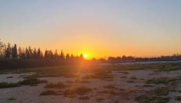 Les clients, ça tente 🤦🤣