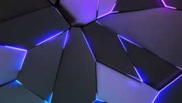 J’AI PRIS LA PERPÉTUITÉ