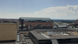 Literature and Healing