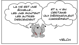 La vie , une échelle souvent casse-gueule