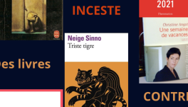 Inceste : ces livres qui tentent, en vain, de faire cesser le déni (Partie 1)