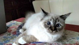 Nous sommes le miroir de l'autre