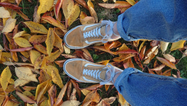 La PAL du mois de Novembre 2021