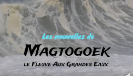 Les nouvelles de Magtogoek #8