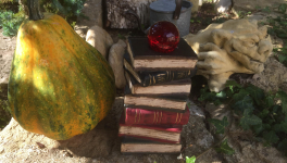 Le jardin du 5 Août