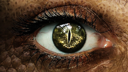 Spin-off : En Cubovision