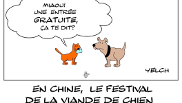 en chine , le festival de la viande de chien ouvre ses portes