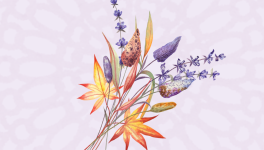 Festina Lente - Chapitre 3