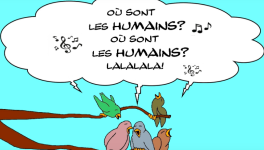 LE PRINTEMPS DU CONFINEMENT