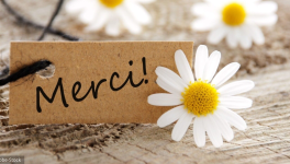 Merci
