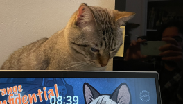 Looping - 06/11/2025