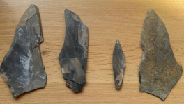 L’Alpine de mon quartier, bernoise à se faire par devant : la Dent de Morcles