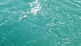 Amour, monde et toi.