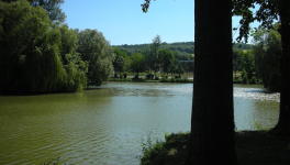 L'enfant de Rosporden - 6/6