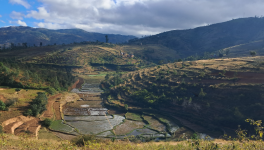 Première esquisse de Mada