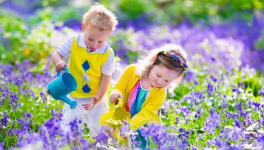 "Le Déni", extrait 11 : une gentille bluette
