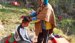 Rencontre avec la Plante