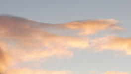 Un piano dans la douleur