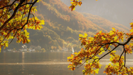 Moment de sérénité