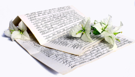 Manifeste ~ Mon engagement au présent