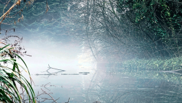 Le repos de la fée des glaces