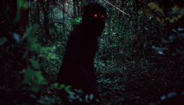 Oncle Boonmee, celui qui se souvient de ses vies antérieures (LOONG BOONMEE RALEUK CHAAT, Apichatpong WEERASETHAKUL (2010)