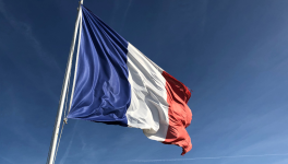 Mon appel à la dignité