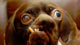 Histoire courte 4 - Vie quotidienne