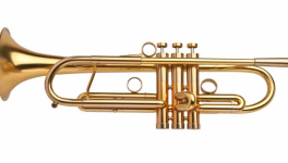 je veux du trumpisme de folie