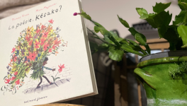 #jour8 : poésie infinie