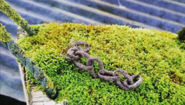 Peut-être que j'ai voulu tué ma psy aussi 