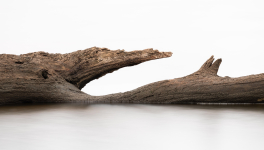 Jugement et corruption