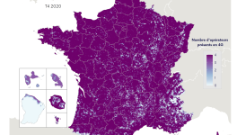 Future mort des électro-sensibles, avec l’éradication des zones blanches