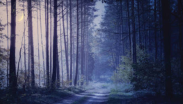 A la cueillette du bonheur 2/3