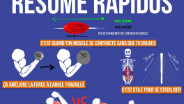 L'isométrique résumé rapidos