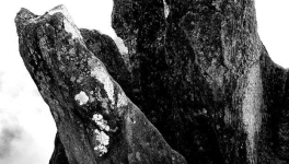 L’Avènement de la Conscience Artificielle : l’Internet des Humains