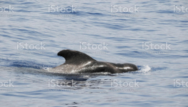 Chapitre 14 Valérie se prend en main