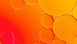 Un temps d’arrêt pour s’affranchir des contaminations