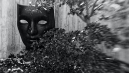 Le masque des émotions