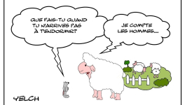 Quand les moutons dorment